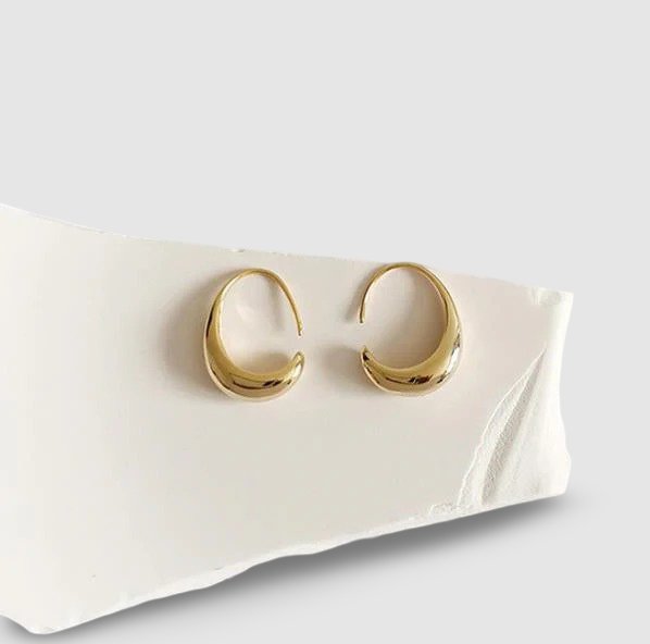 Luxury Earrings